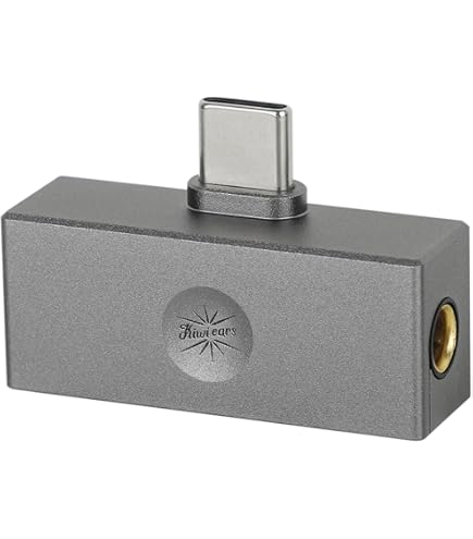 Amazon.com: AudioQuest-Beetle Optical/USB DAC and Headphone